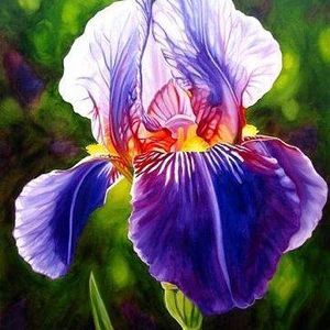 Meet your Posher, Iris